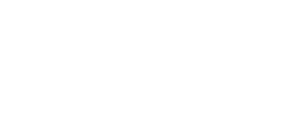 Programa Socios Formadores